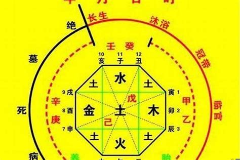 命主八字|生辰八字算命、五行喜用神查询（免费测算）